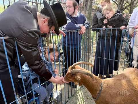 BPJCC Chol Hamoed Extravaganza - Pesach 2026